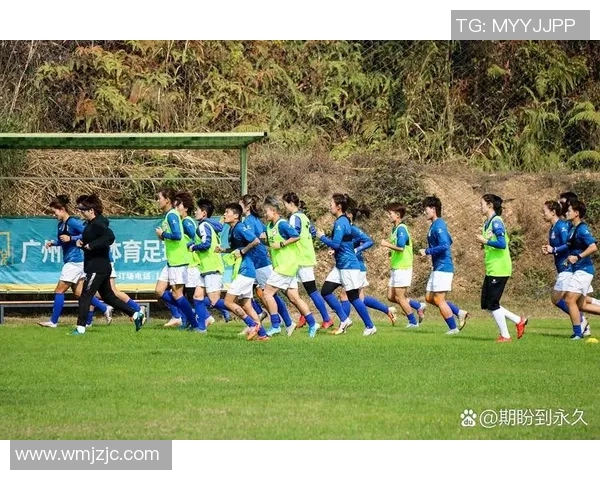 在绿茵场上亲吻草地的足球明星们的奋斗与荣耀